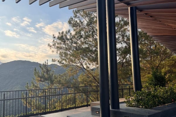 Toldo o pérgola bioclimática: cómo instalar sombra en tu terraza este verano