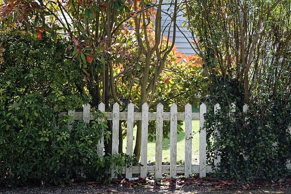 Vallado del jardín en España 2026: normativa de linderos, materiales y precios reales