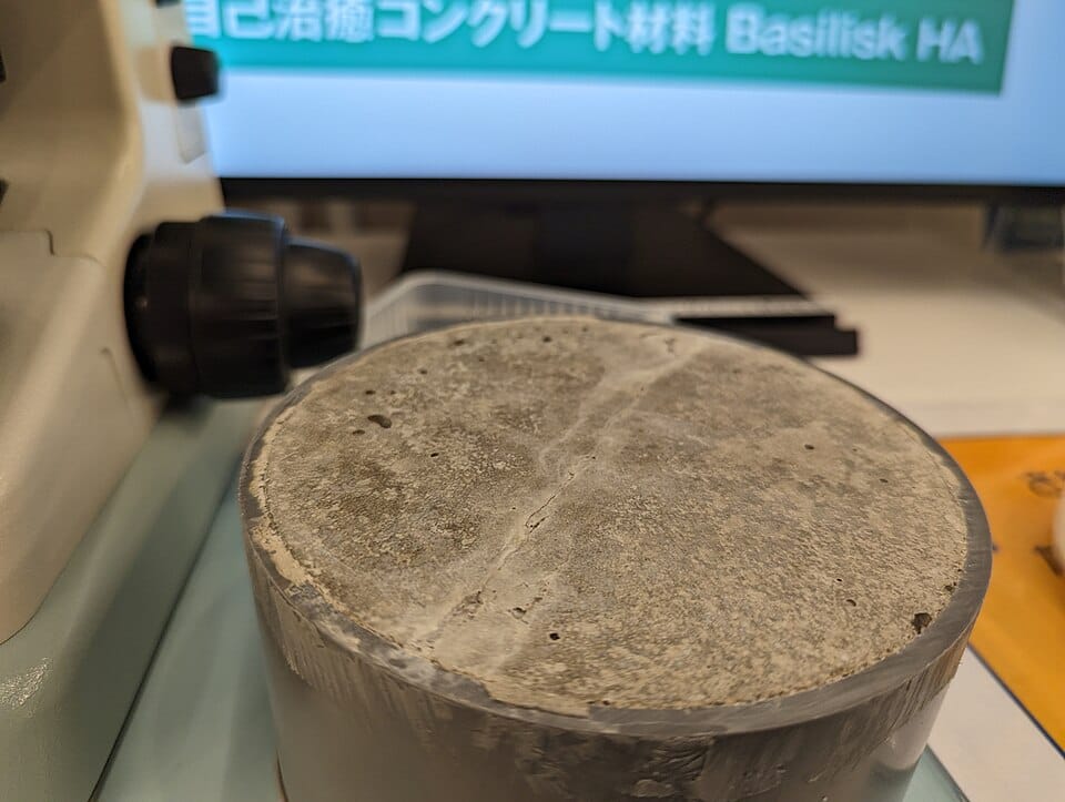 Condensación en viviendas: causas, daños y cómo solucionarla