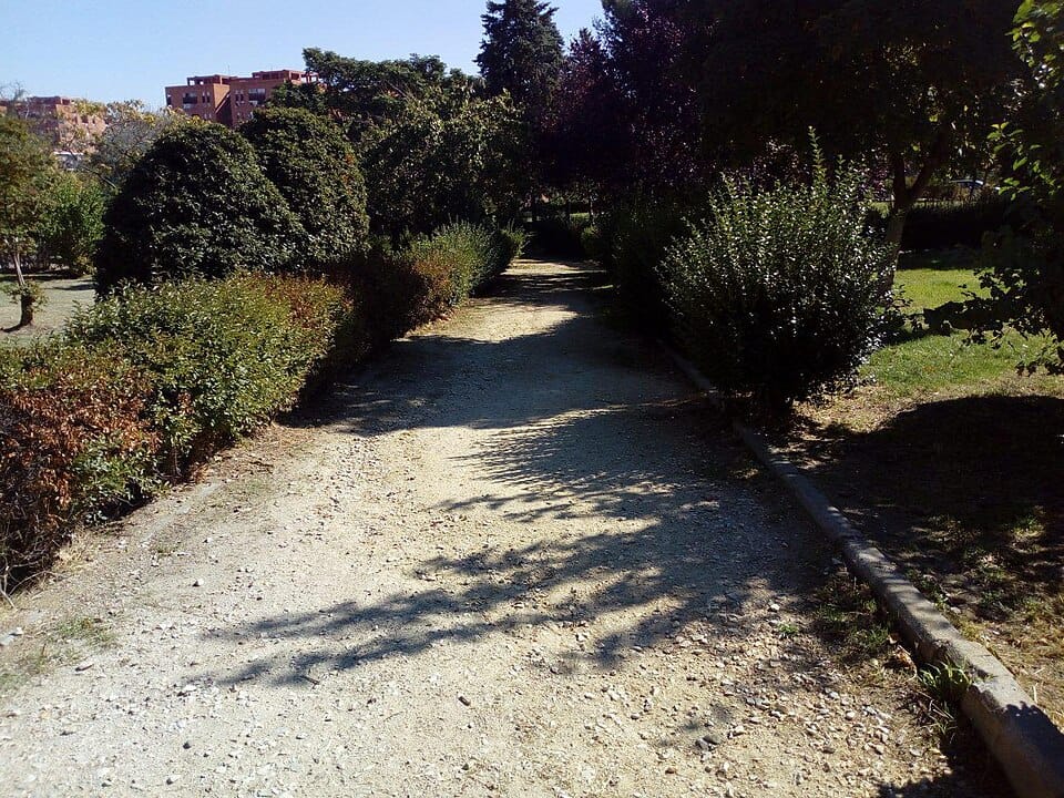 Riego automático en el jardín: goteo, aspersión y programadores